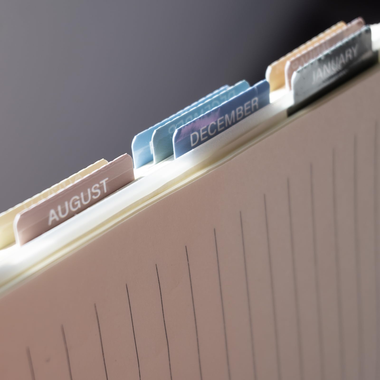 Laminated Monthly Planner Tabs – 40 Adhesive Index Stickers