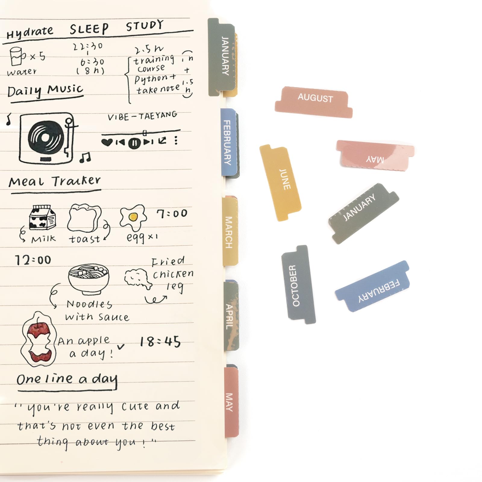 Laminated Monthly Planner Tabs – 40 Adhesive Index Stickers