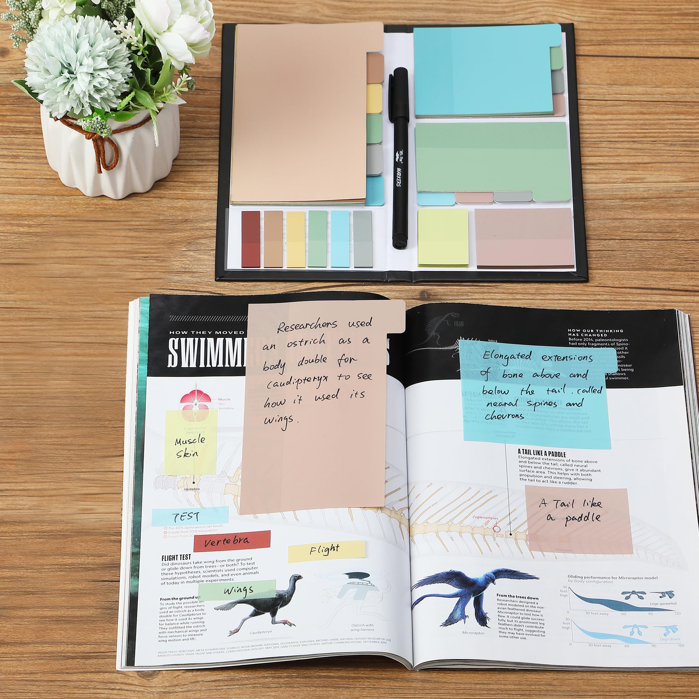 Transparent Sticky Notes Set | Clear Planner Notes & Tabs